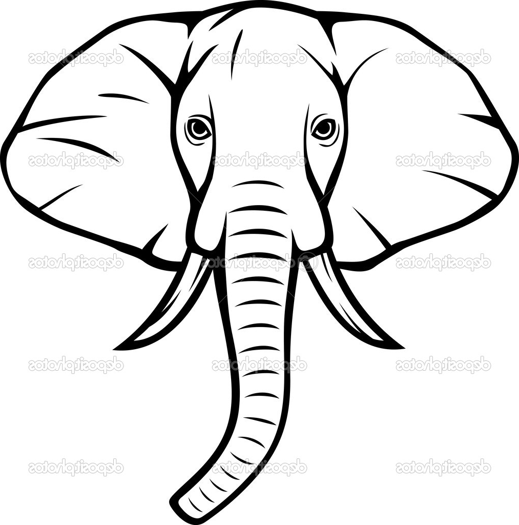 1013x1024 Indian Elephant Face Drawing Archives