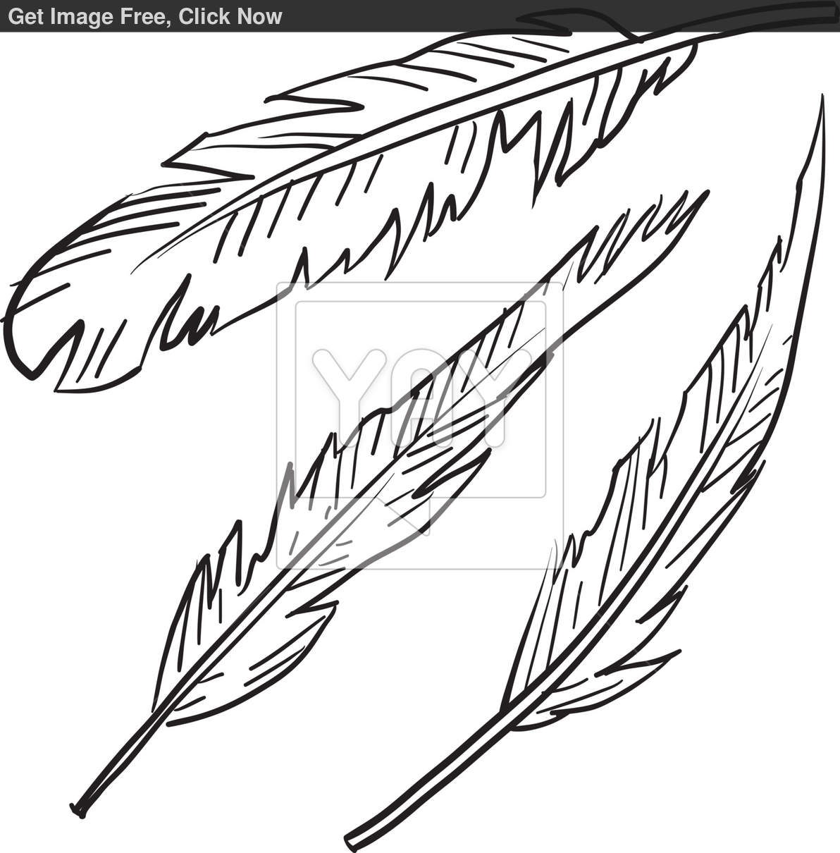 Indian Feather Drawing
