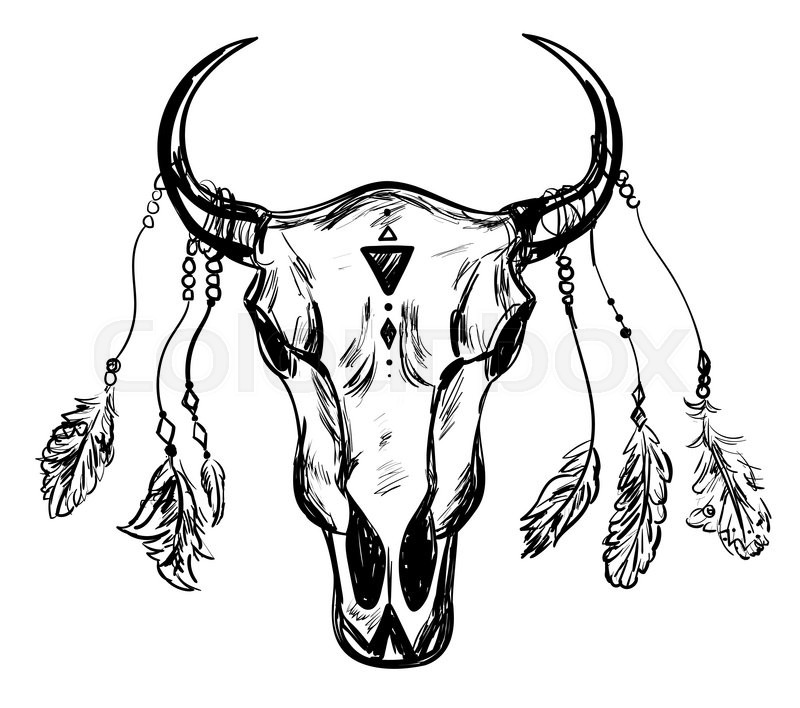 800x708 Buffalo Skull With Feathers. Hand Drawn Sketch. Native American