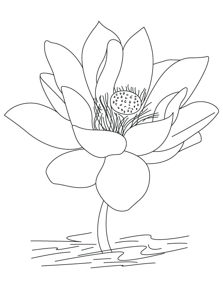 738x954 Trend India Coloring Pages New