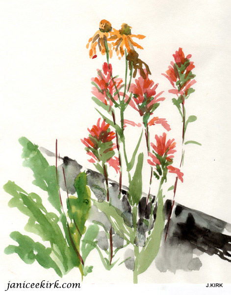 471x600 Beaver Park Paintings, Natural Science Illustration