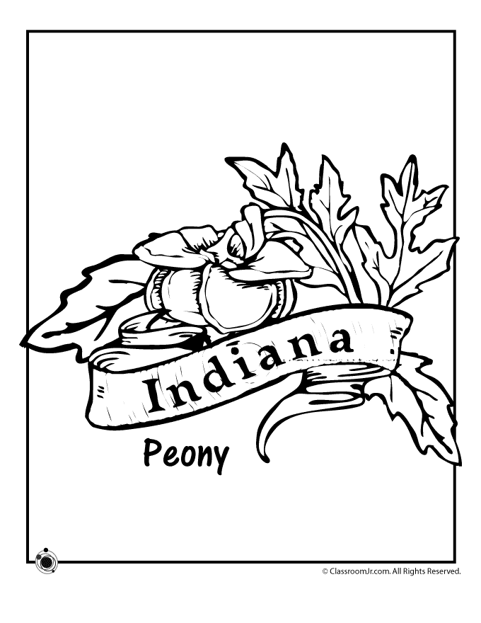 680x880 State Flower Coloring Pages Indiana State Flower Coloring Page