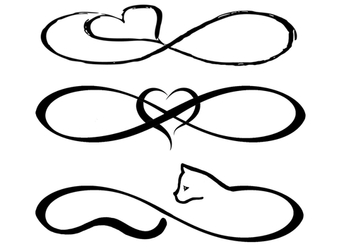 480x353 Barrette Chic Heart Cat 3 14