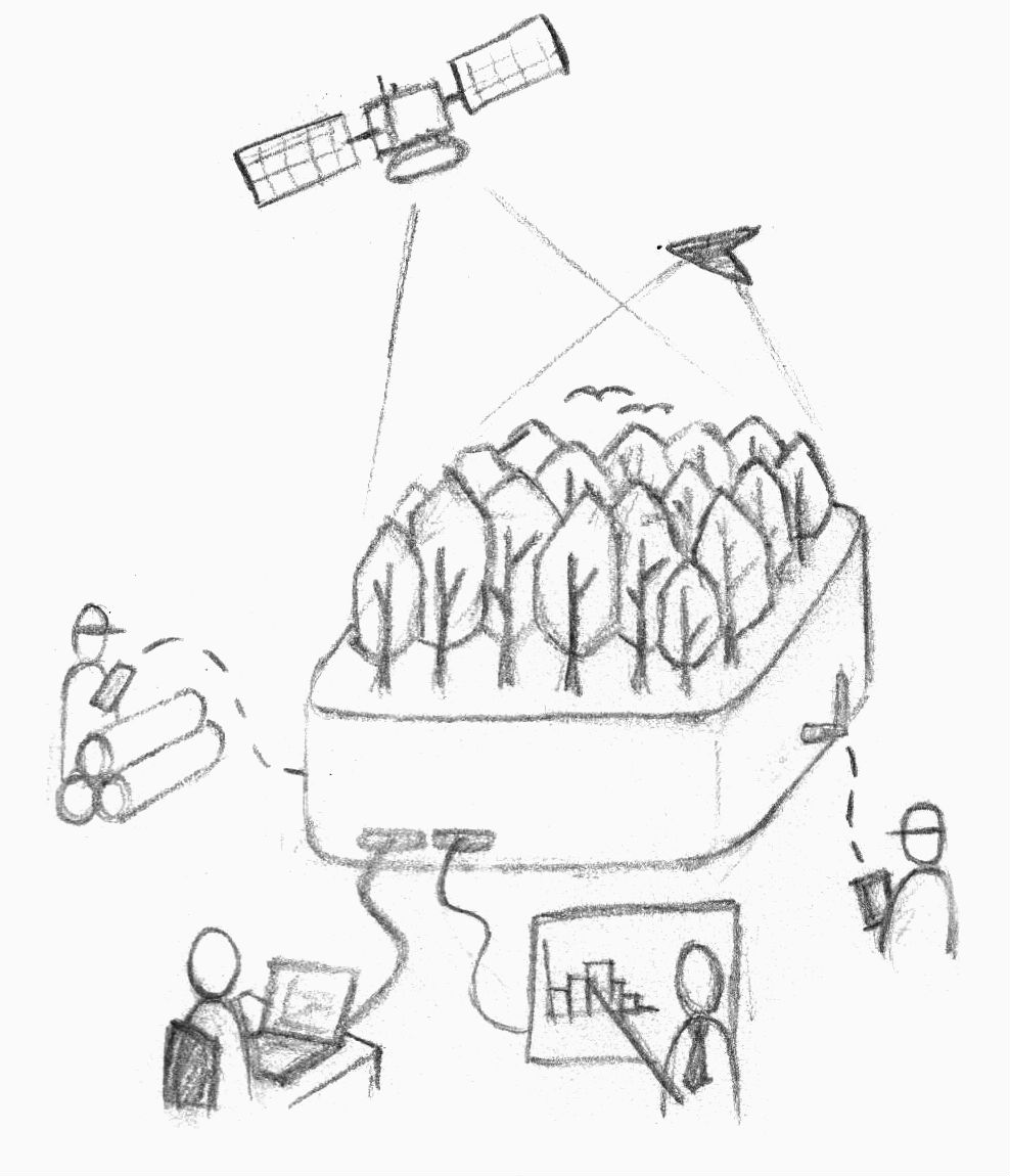 988x1150 Forest Information Technology Archives