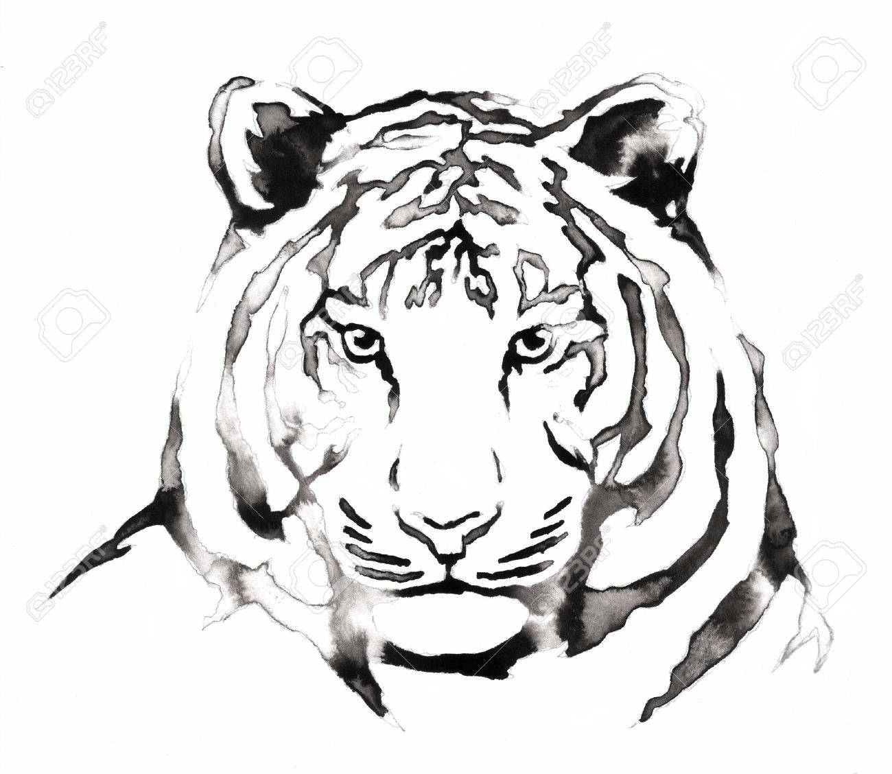1300x1128 Black And White Monochrome Painting With Water And Ink Draw Tiger