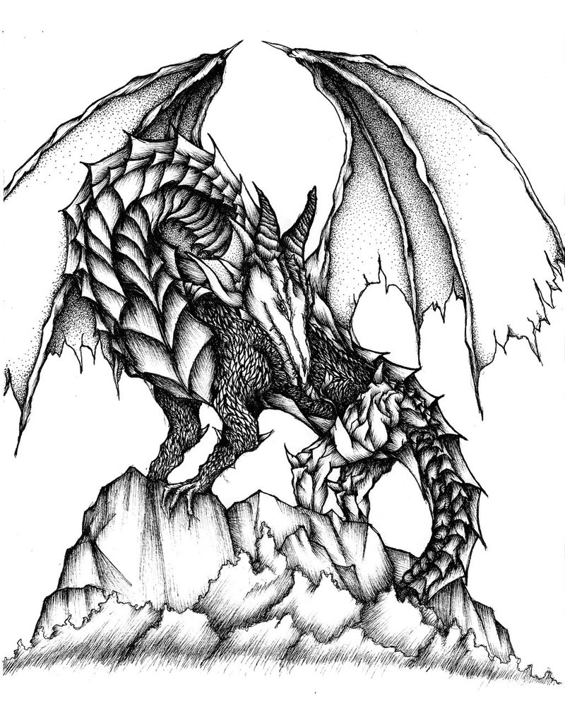 800x1000 Dragon. 8x10 Ink Drawing By Shenj010