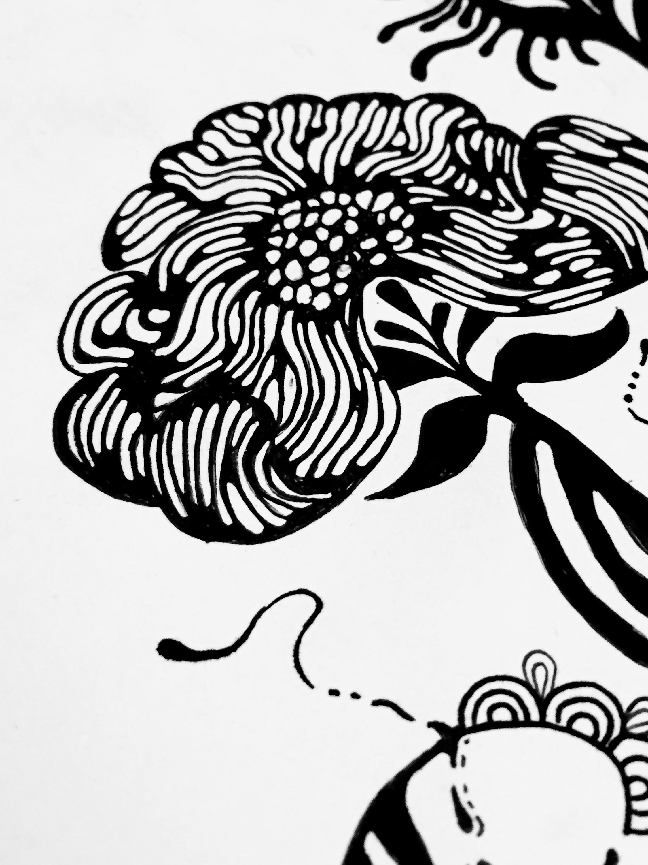 2250x3000 Flower Pen Amp Ink Drawing (Part One)