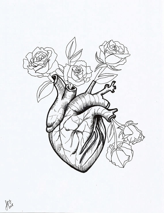 570x738 Heart And Flowers Art Print Printable Art Pen And Ink