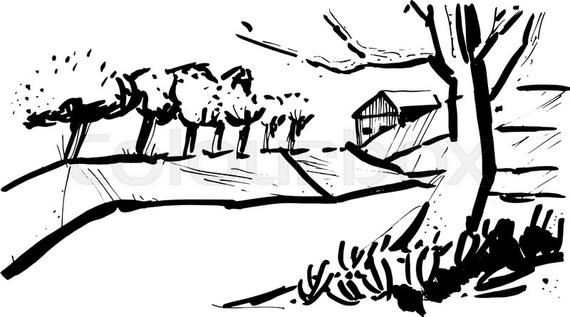 800x445 Landscape With The Trees In The Style Of Sketch Art, Line Drawing