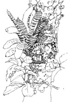 236x349 Plein Air Pen And Ink Drawings Drawing The Motmot Debby
