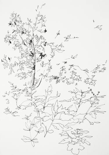 375x532 Buy Original Ink Impressionism Tree Drawings Online Saatchi Art