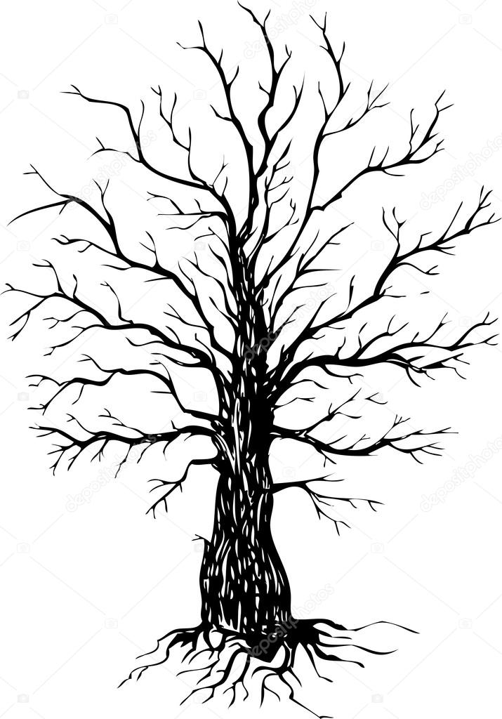 715x1024 Vector Ink Drawing Tree Stock Vector Cat Arch Angel
