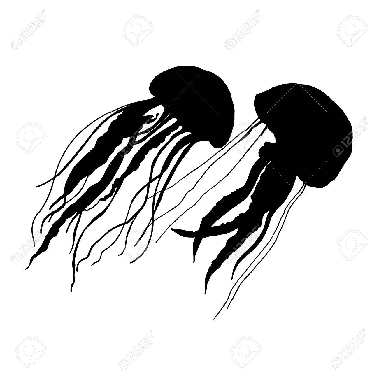 1300x1300 Jellyfish Vector Sea Water Ocean Blue Underwater Marine Nature
