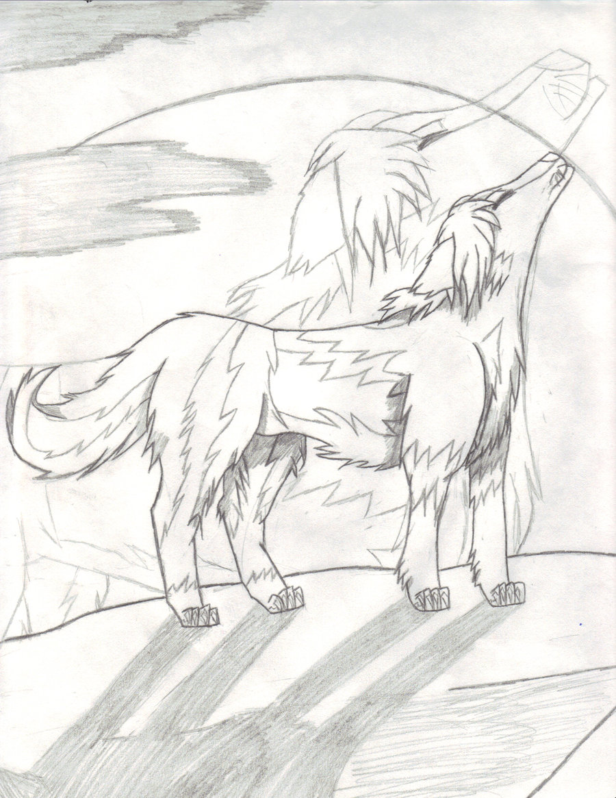 900x1165 Spainhetalia Wolf Sketch By Insane White Tiger