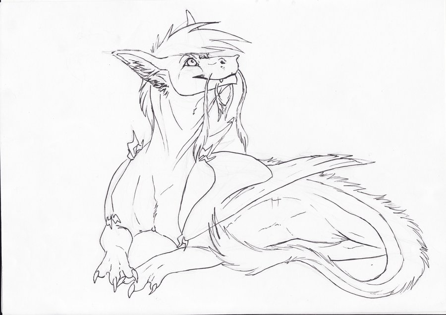 900x636 Suppari The Dragon By Insane Goldy