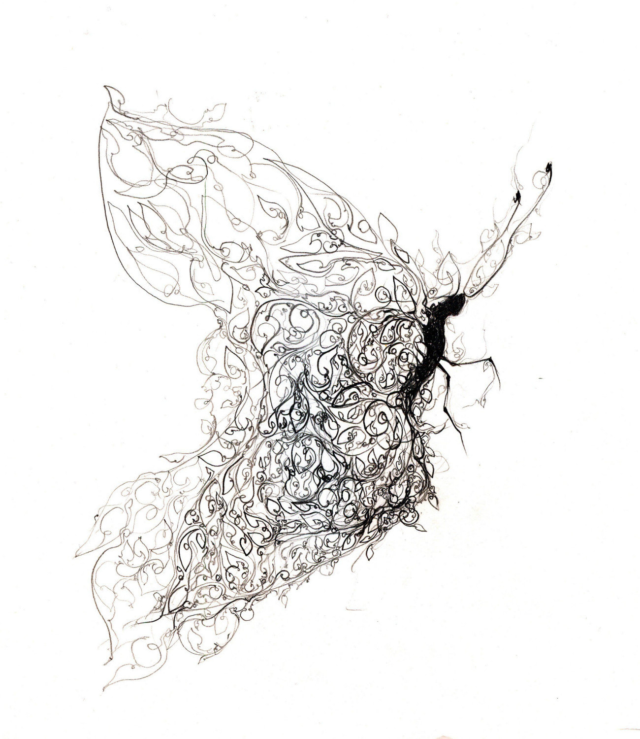 1300x1500 Butterfly Art Print Black And White Ink Drawing Insect Art