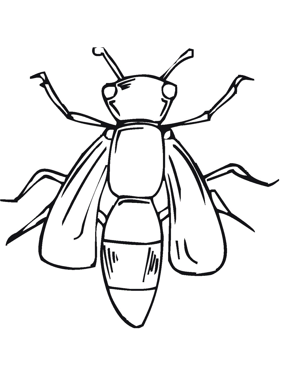 950x1266 Free Printable Bug Coloring Pages For Kids New Insect
