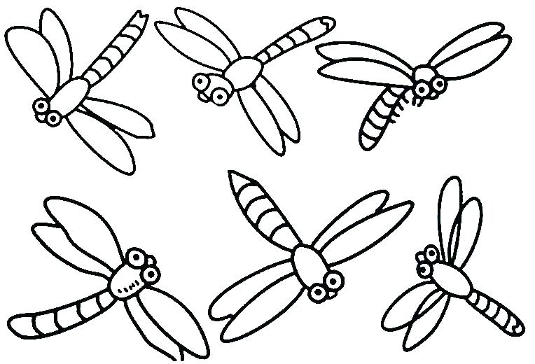 764x520 Insect Coloring Book Plus Vector Stock Black And White Cartoon