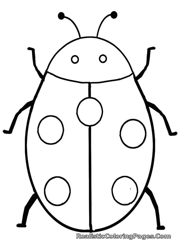 768x1024 Insect Drawing For Kids Wallpapers Hd Quality