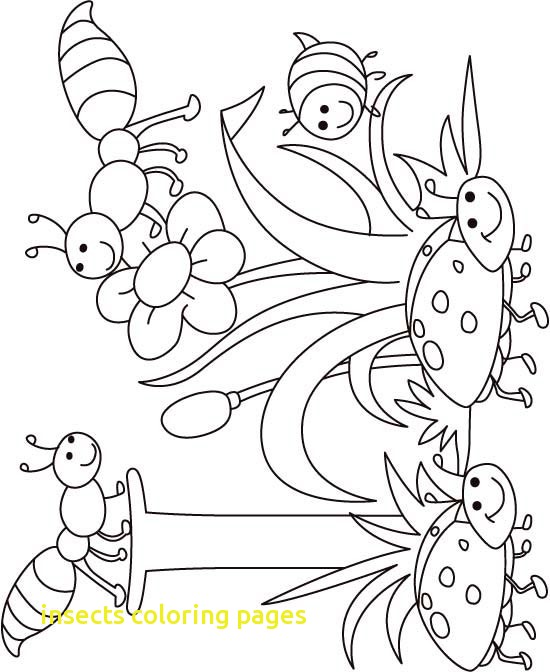 550x672 Insects Coloring Pages With Draw Insects Coloring Pages New