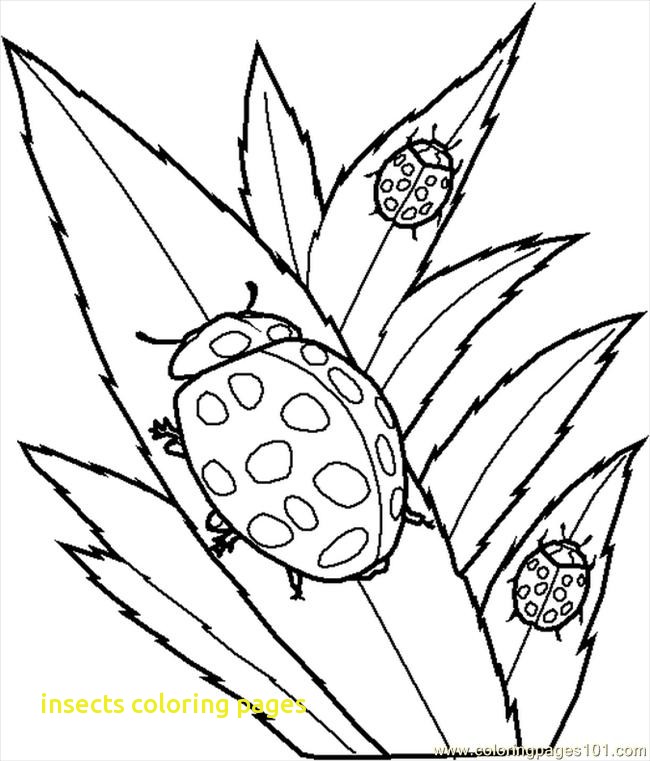 650x761 Insects Coloring Pages With Insect Coloring Pages For Kids Many