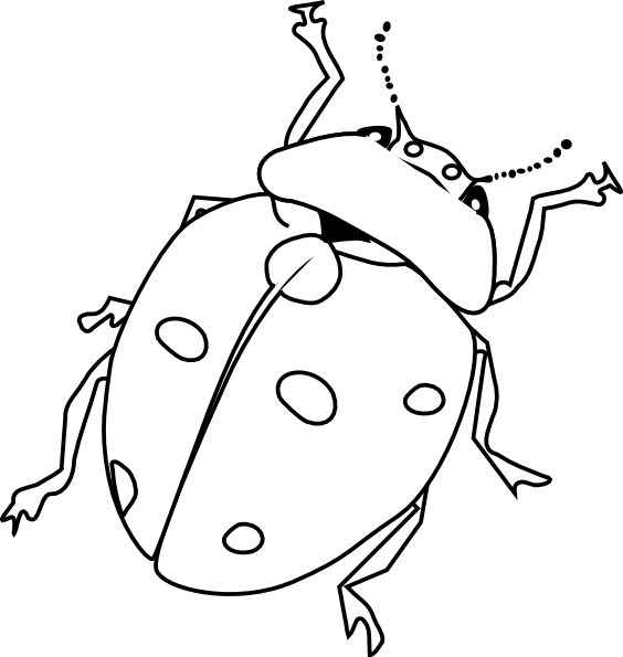 564x595 Nice Insects Coloring Pages Cool Gallery Color