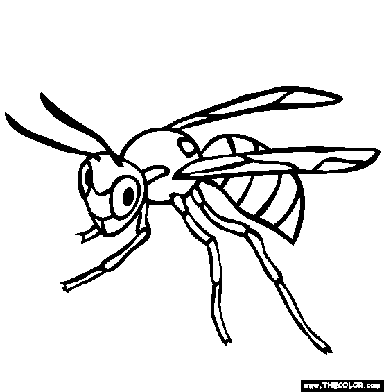 554x565 Insect Online Coloring Pages Page 1