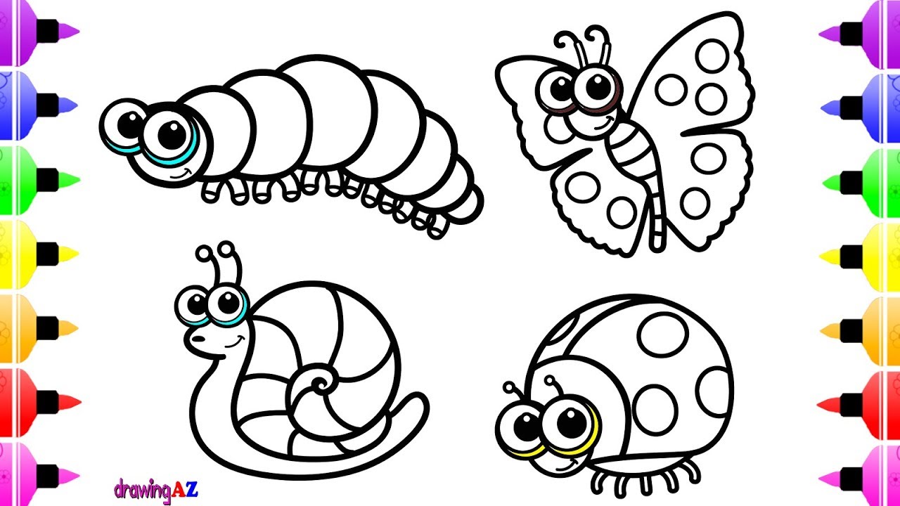 1280x720 How To Draw Insects Butterfly Snail For Kids Animals Coloring