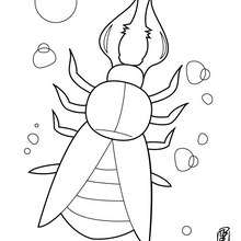 220x220 Insect Drawing For Kids, Coloring Pages, Reading Amp Learning