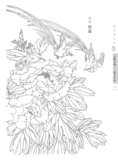 400x543 Chinese Line Drawing Flowers, Birds, Fishes And Insects Painting