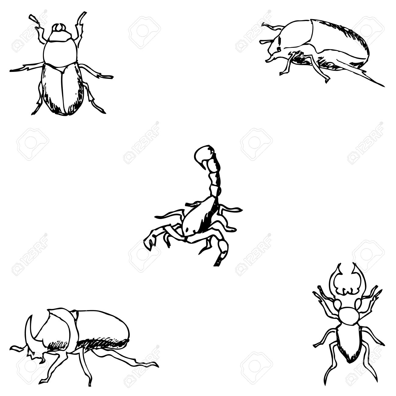 1300x1300 Insects. A Sketch By Hand. Pencil Drawing. Vector Image Royalty