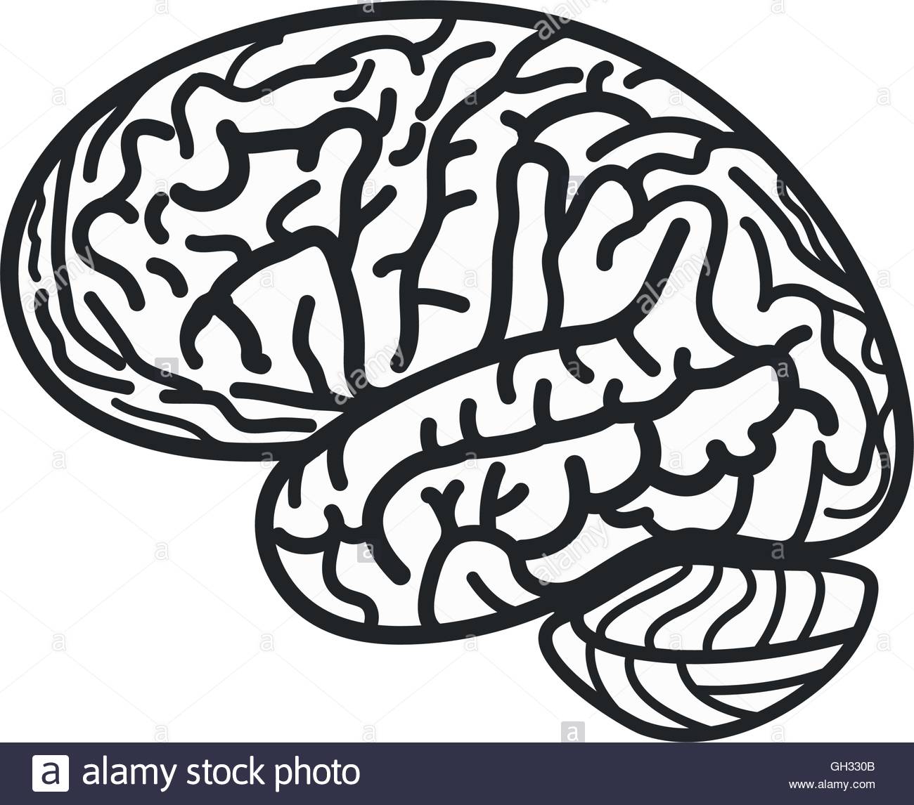 1300x1146 Isolated Black And White Brain Contour Vector Logo. Gyrus
