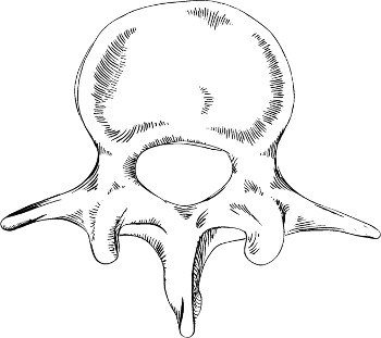 350x311 Tobias Isenberg