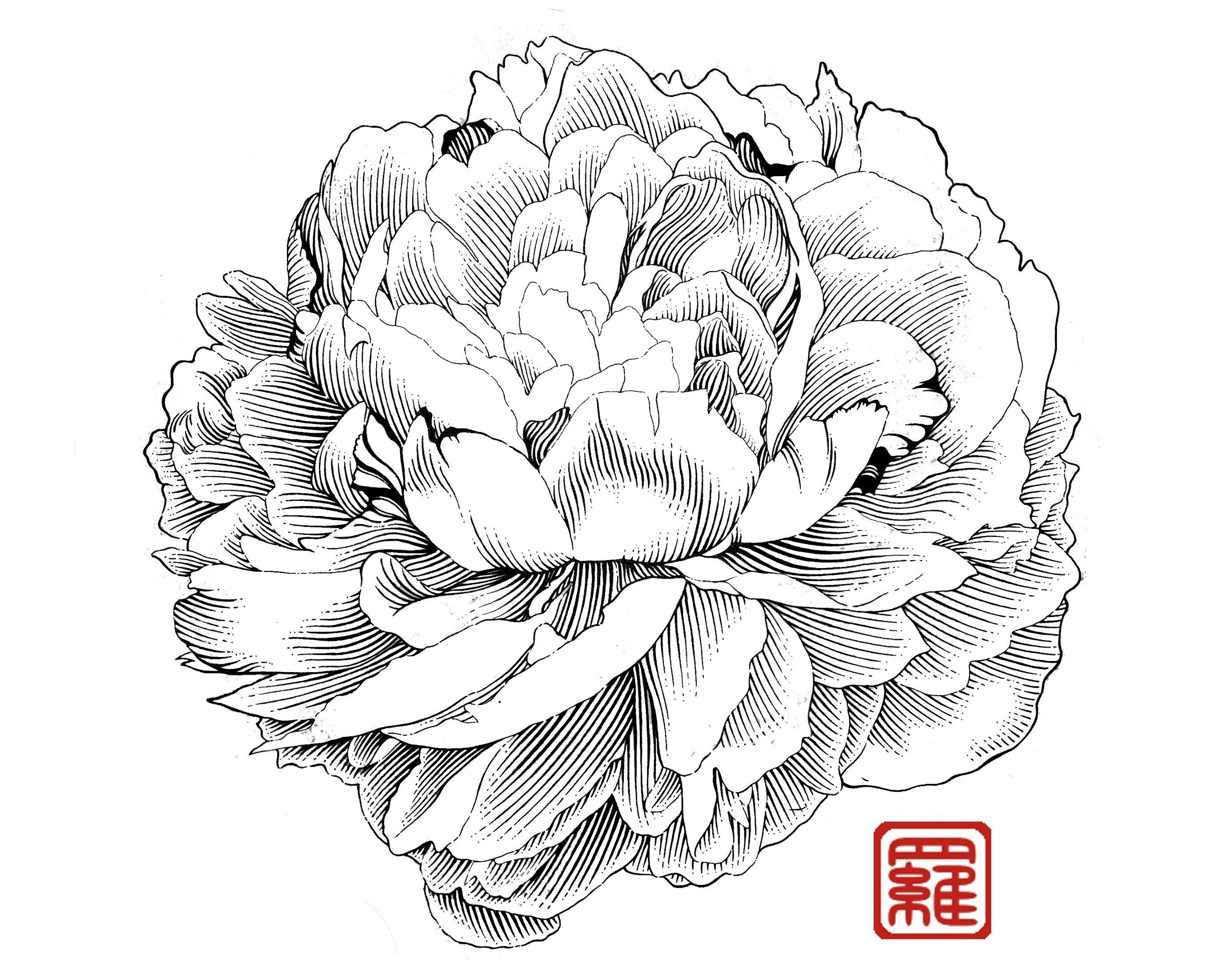 2764x2203 The Most Awesome Images On The Internet Tattoo, Drawings