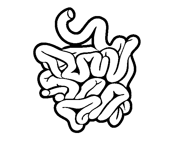 600x470 Large Intestine Coloring Pages