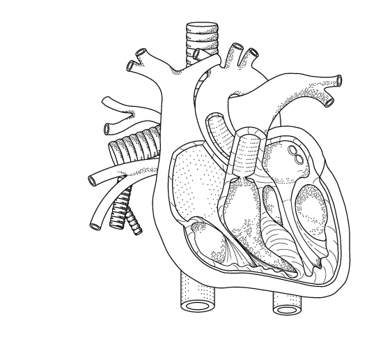 550x483 Patent Drafting Services By Technographics