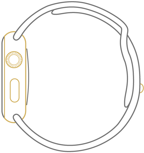 495x527 Buy Your Gold Plated Iphone 6s