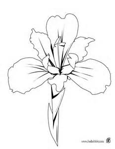 232x300 Coloring Page Iris Flower