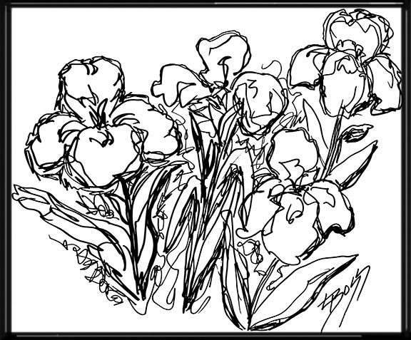 576x477 Irish Sketch Original Line Drawing By Linda Boss