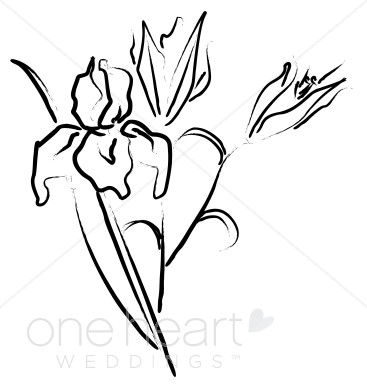367x388 Iris Clip Art Elegant Wedding Flower Sketches