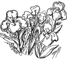 280x250 Irish Sketch Original Line Drawing By Linda Boss