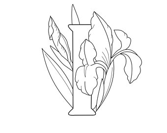 340x270 Iris Coloring Page Etsy