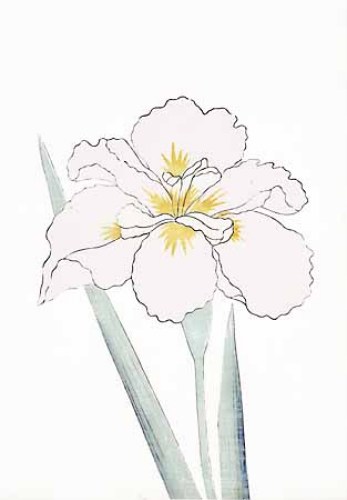 347x500 Japanese Irises I