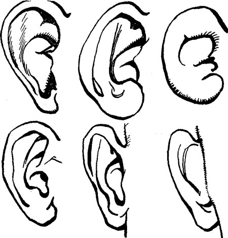 450x471 Ears Hears Me Cleaning Off My Laptop And Ext Hardrive