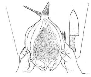 300x254 How To Make A Boneless Bangus Bloggieesss