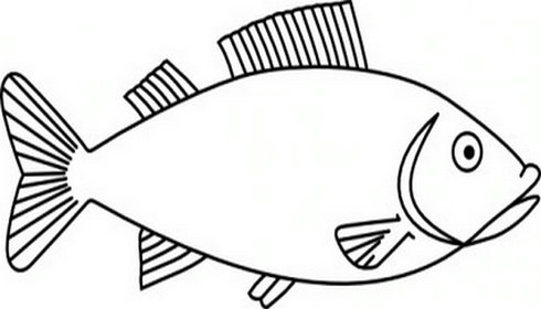 490x280 Fish Clipart Black And White