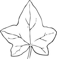 236x248 Ivy Leaf Clip Art