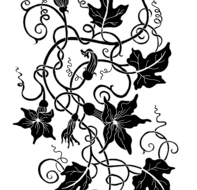 Ivy Plant Drawing
