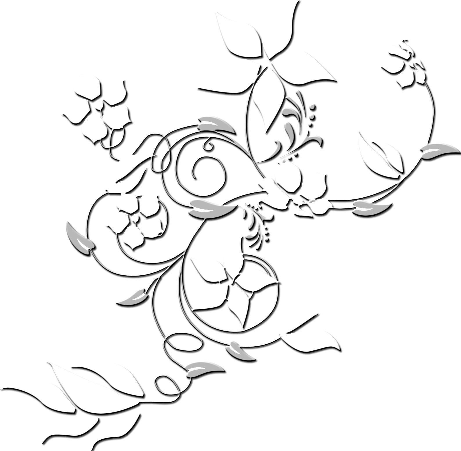 1589x1556 Vine 1 Free Images