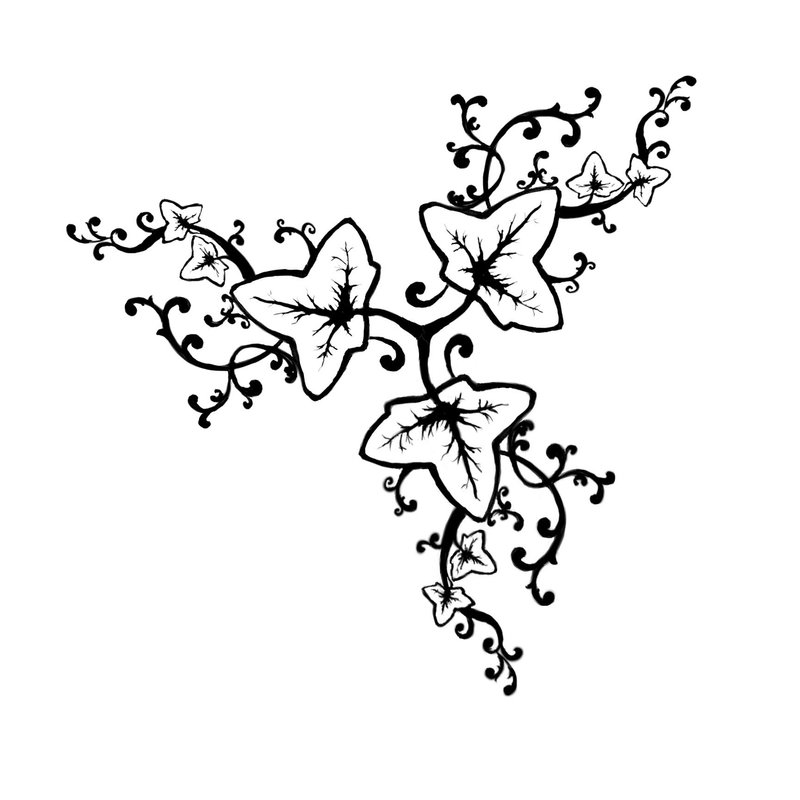 800x800 Black Outline Ivy Vine Tattoo Stencil By Cenestelle